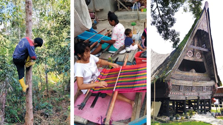 Pohon kemenyan menghasilkan getah berharga (kiri) - Ulos sebutan kain tradisi Batak yang berwarna-warni (tengah) - Rumah adat Batak (kanan) kolase Batak