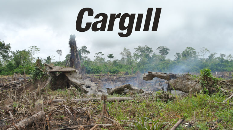 Kebakaran hutan + Logo Cargill