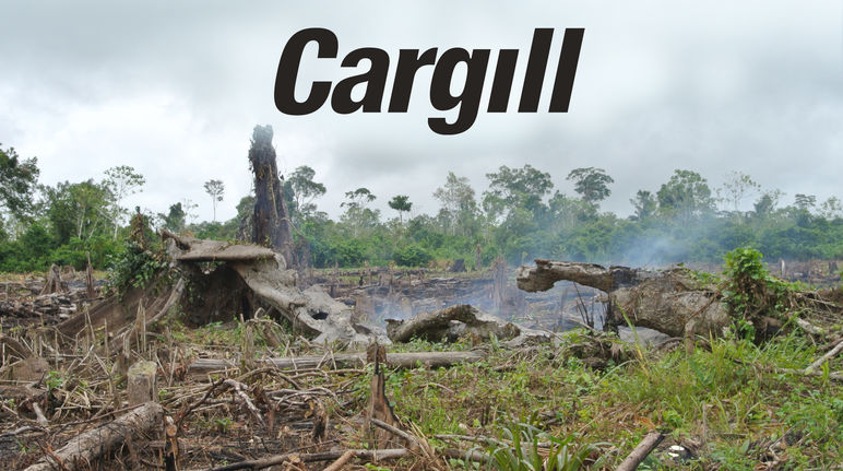 Di Amerika Latin hutan dibakar untuk dijadikan lahan ladang Kebakaran hutan + Logo Cargill