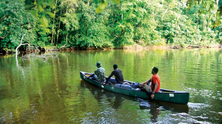 Sungai di Taman Nasional Sapo