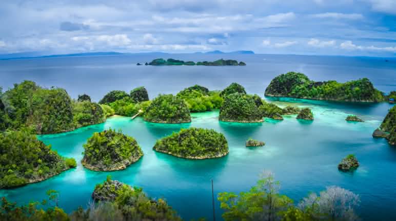 Keindahan Kepulauan Raja Ampat - kekayaan keanekaragam hayati laut Kepulauan Raja Ampat