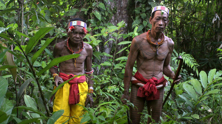 masyarakat adat Siberut