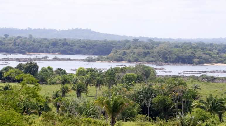 Xingu Vivo membantu masyarakat di sekitar wilayah PLTA Belo Monte di Brazil. PLTA ini telah membuat daerah itu menjadi ajang penebangan di wilayah Amazon. Pemilik tanah besar terus mencari wilayah baru di hutan hujan dengan dukungan penuh pemerintah. Daerah Belo Monte