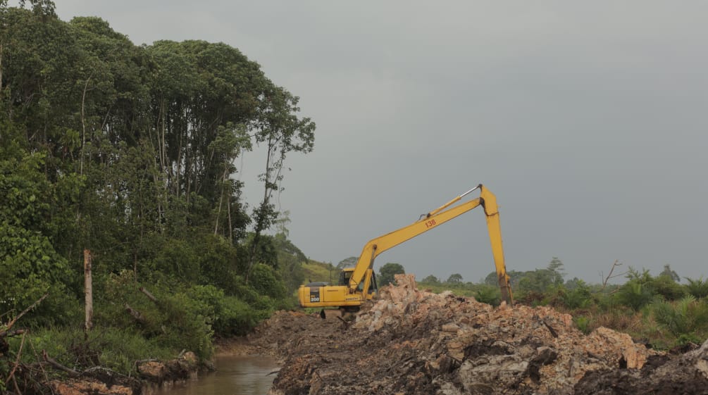 Perkebunan BGA di Kalteng