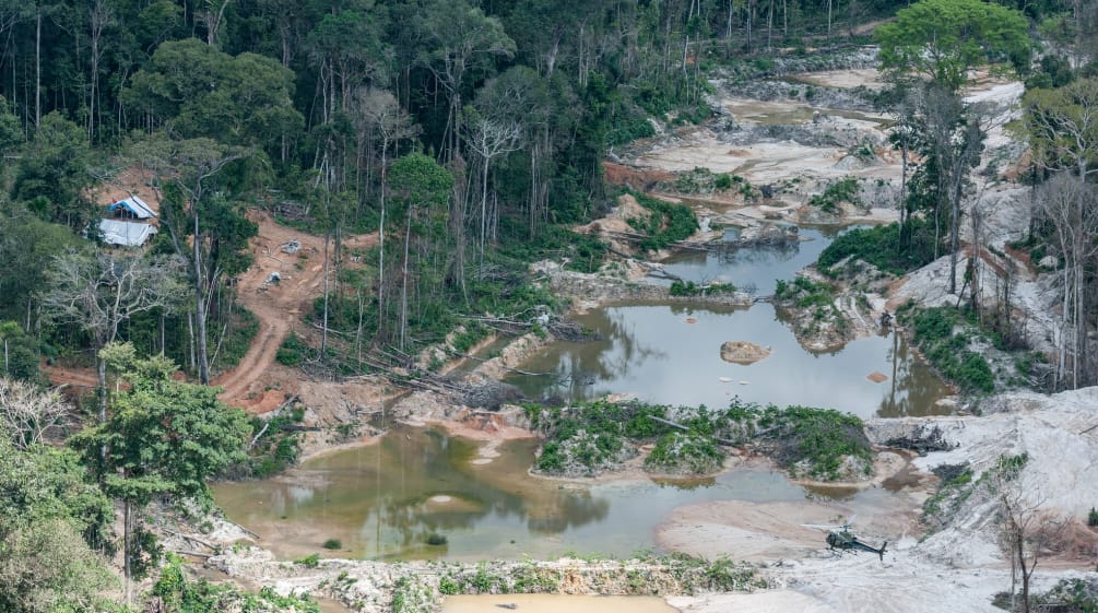 Pertambangan emas ilegal di Brasil
