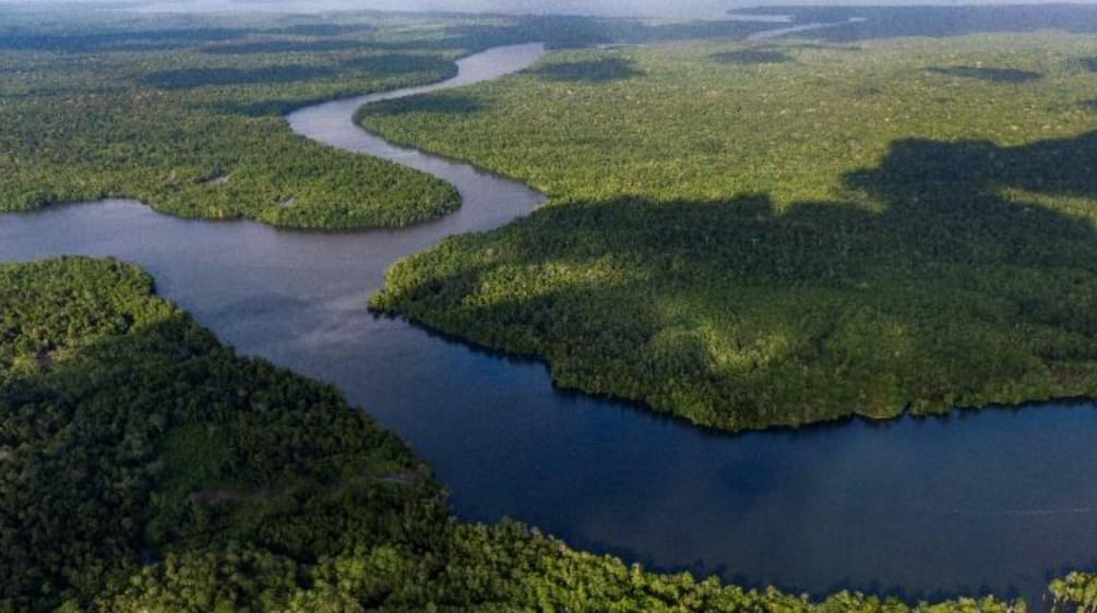 pulau berhutan dan jalur laut