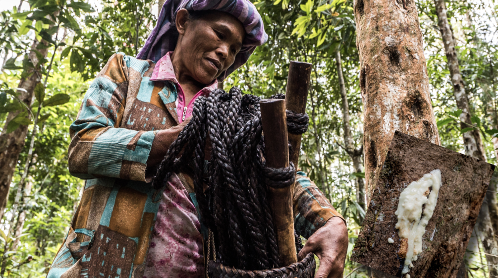 Seorang ibu Batak dengan getah pohon kemenyan