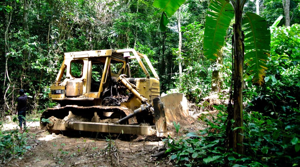 Buldoser di Taman Nasional Cross River