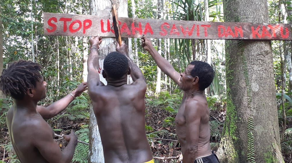 tiga orang Papua membela hutan