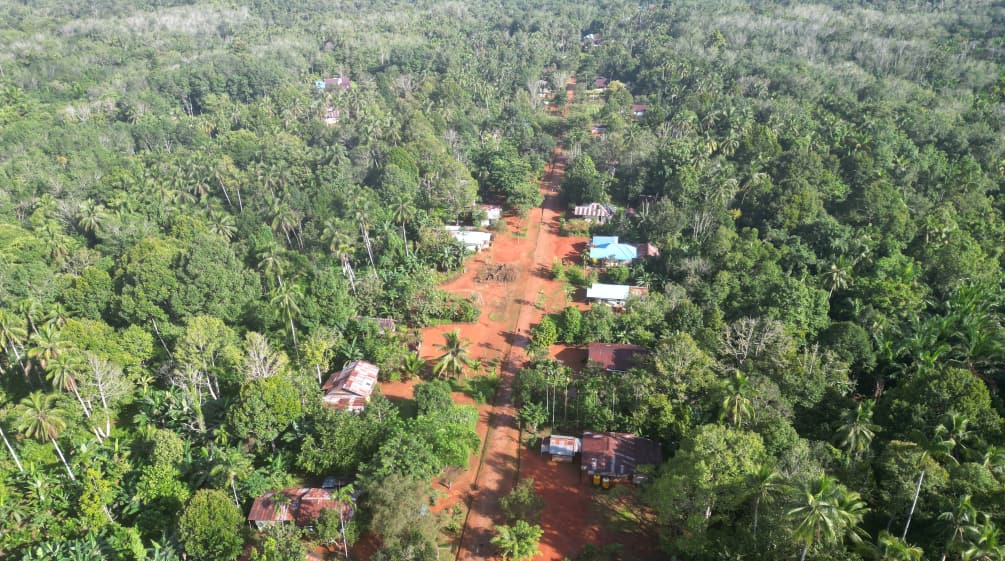 foto drone kampung didalam hutan