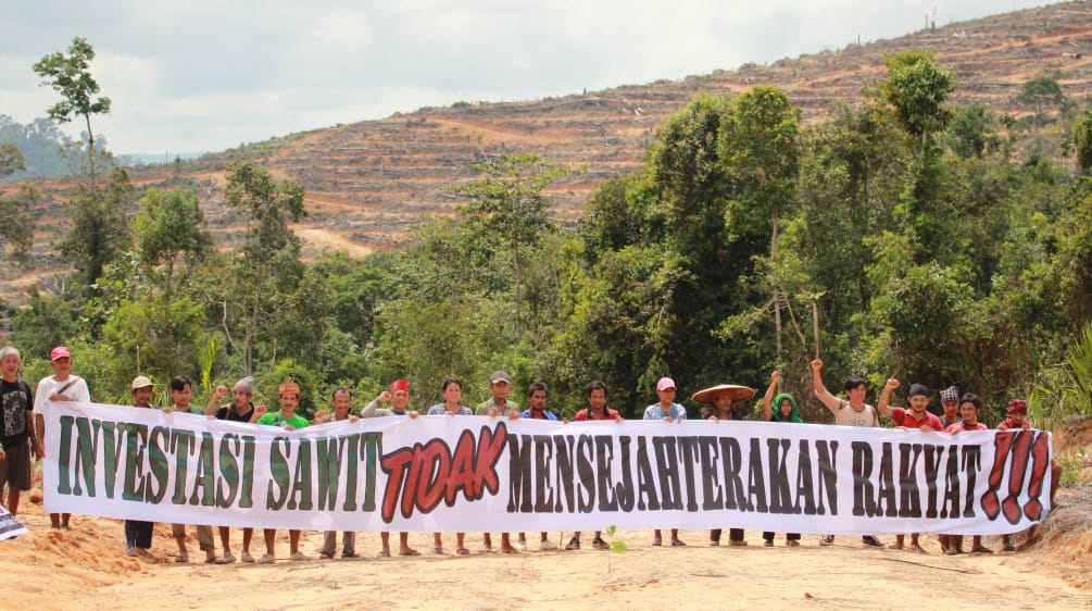 Warga Kinipan melawan deforestasi dan sawit