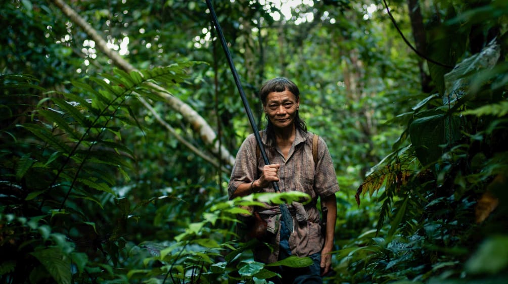 Penan di Sarawak