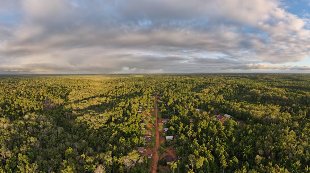 Kampung Wambon, Papua, dari atas