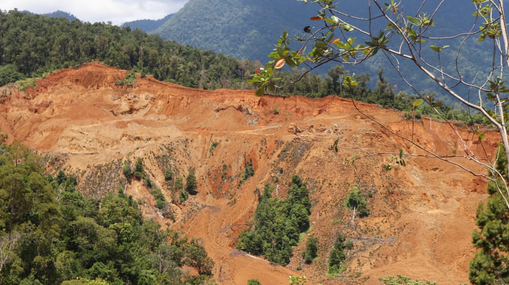 Tambang nikel merusak cagar alam Morowali