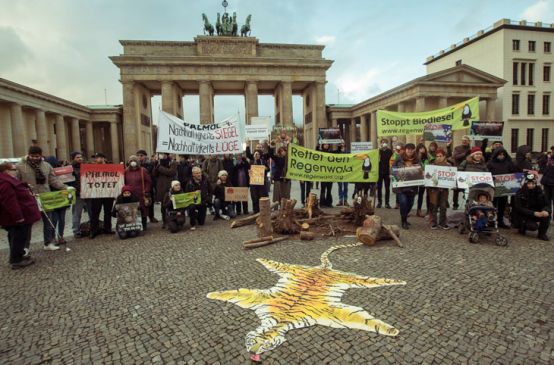 Aksi didepan Brandenburger Tor: Menolak lupa: biosprit menghancurkan hutan hujan