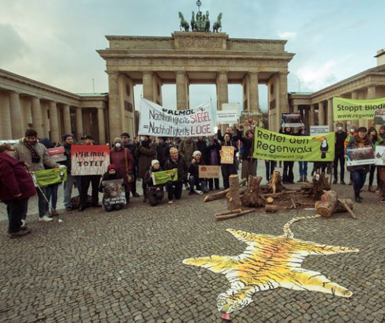 Aksi didepan Brandenburger Tor: Menolak lupa: biosprit menghancurkan hutan hujan