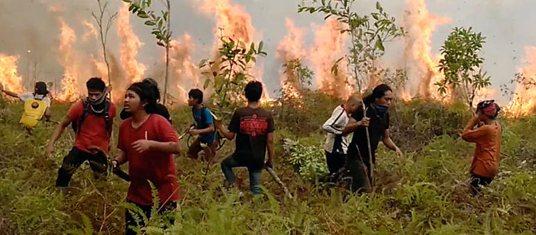 Aktivis lingkungan hidup memadamkan api dengan dahan-dahan Aktivis LH memadamkan kebakaran hutan dengan dahan-dahan saja