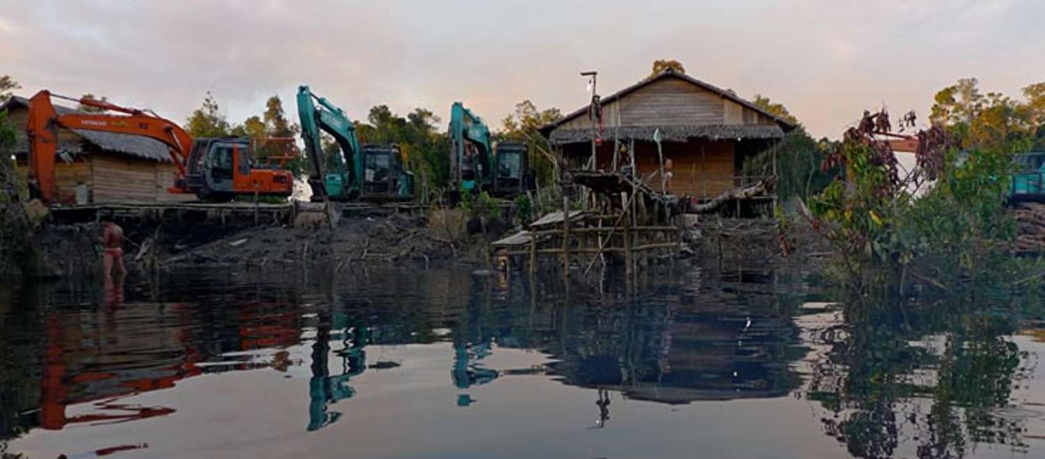 penebangan di pinggir sungai demi sawit