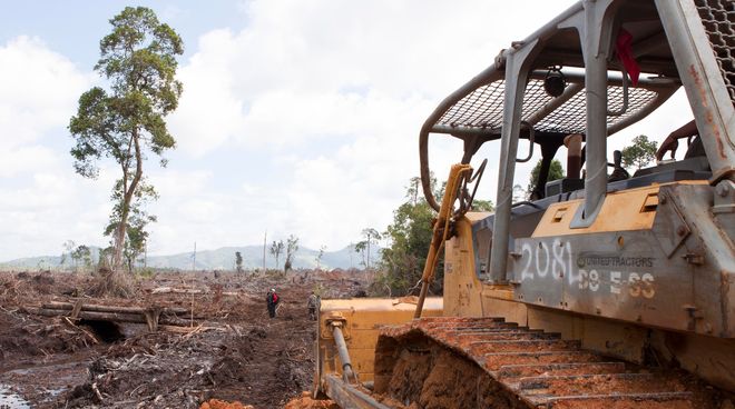 serbuan ke hutan rawa gambut bulldoser merusakkan hutan