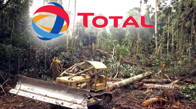Biofuel dari minyak sawit penyebab kebekaran hutan hujan Total penebangan hutan hujan
