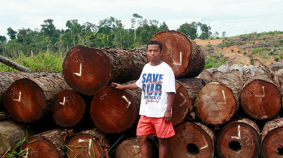 Nordin didepan log