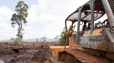 bulldoser merusakkan hutan