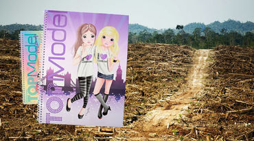 Kertas tulis Topmodel didepan hutan gundul