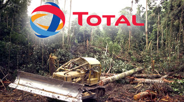 Total penebangan hutan hujan