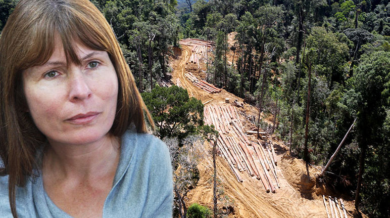 Montage: Wartawati Clare Rewcastle Brown dari Sarawak Report di depan areal penebangan hutan.