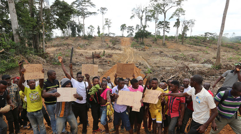 Para petani kecil di Nigeria berdemonstrasi menentang perkebunan sawit milik Wilmar.